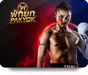 1Win ไทย: รีวิวแพลตฟอร์มที่ดีที่สุดสำหรับการเดิมพันออนไลน์